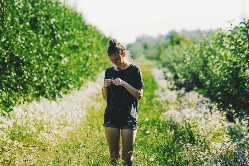 Greenbough Orchard Services