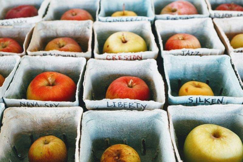Greenbough Orchard Services